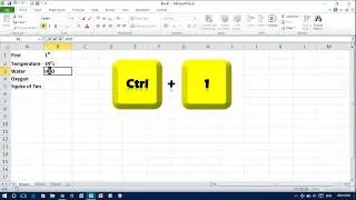 Apply Superscript & Subscript in Excel