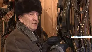 Енисейский умелец возрождает старинное ремесло шорников