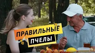 Как получить самый вкусный мед | Фермерское дело