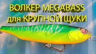 🔥 Знакомство с волкером Megabass Giant Dog-X. Сразу клюнула ТРОФЕЙНАЯ ЩУКА, но ЧТО-ТО ПОШЛО НЕ ТАК 🔥