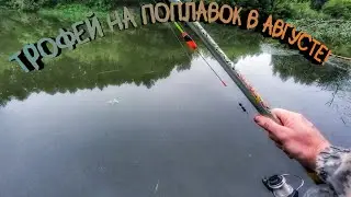 Рыбалка у дома!Вытащил трофей садком)