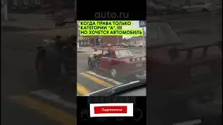 Это что за полурак?🫣