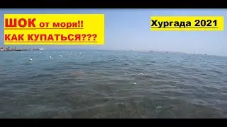 Sea Gull 4* обзор пляжа погода в апреле температура моря Хургада 2021