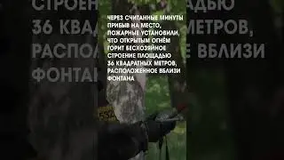 Пожар в парке Мира в Коломне 