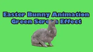 Easter Bunny Animation  Green Screen Effect Free