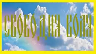 Технологии Свободной Воли. Концепция сообщества Свободная Воля!