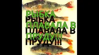 А есть ли рыбка в пруду???