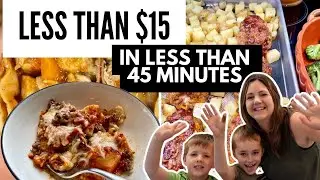 3 Tasty Weeknight Dinners My Family Loved!  Budget Meals For Under $15 and Under 45 Minutes!