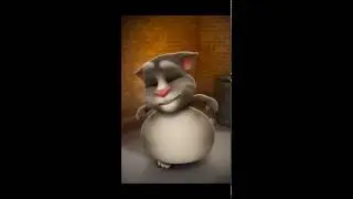 кто кем станет. смешной кот