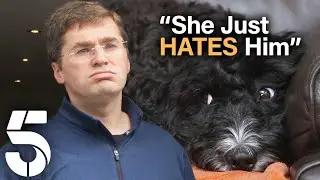 A Cockapoo That Can't Stand Dad | Dogs Behaving (Very) Badly | Channel 5