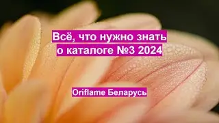 Основные акценты в работе в каталоге №3