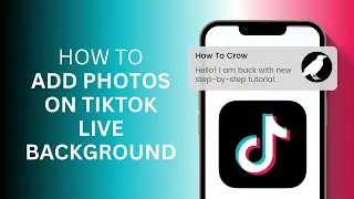 How to Add Photos on TikTok Live Background?