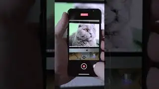 Как снимать видео на айфон с включенной фоновой музыкой 
