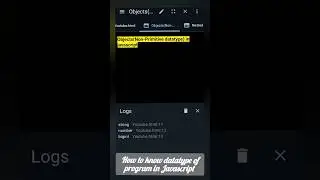 How to know Datatype of any program in Javascript 