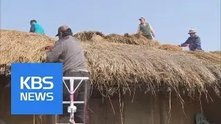 Thatched Roof Tradition | KBS뉴스 | KBS NEWS