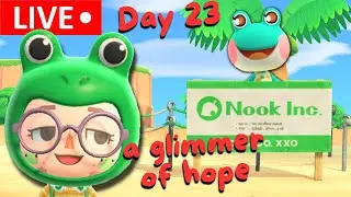 🔴day 23 - I feel lucky today (Lily hunting)