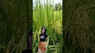 Goyang Tiktok Yang Lagi Viral😱 Dj Efka Melodi Nostalgia😱