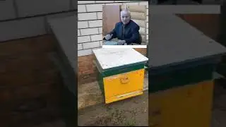 Когда убирать расплод осенью? Профессор Кашковский.