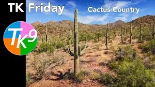 TK FRIDAY (Cactus Country) FULL EDIT