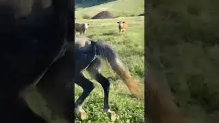 #ислам