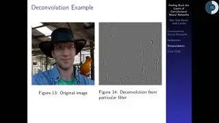 DanDoesData Math Journal Club: Visualizing CNNs