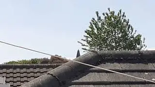 Christ Church Chime 3:00pm (View From My House!)