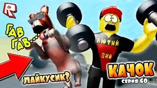 ТРОЛЛИНГ КАЧКОВ РОБЛОКС СИМУЛЯТОР КАЧКА !!! ИГРЫ РОБЛОКС #60
