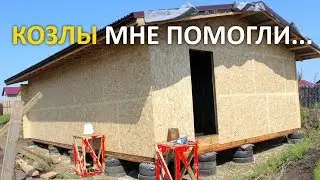 Строю каркасный дом на фундаменте из автомобильных покрышек СВОИМИ РУКАМИ. Обшиваю дом OSB 9 мм