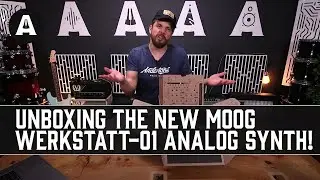 Build Your Own Moog Synthesizer for Under £200?! - Moog Werkstatt-01 Analog Synth