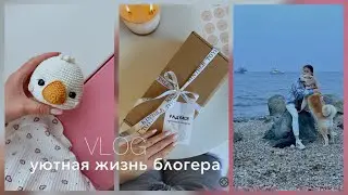 Насыщенное видео🫡