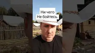 👌🫂Квантовый переход земли. #shorts