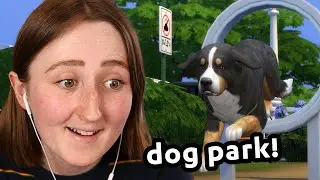 i tried to build a dog park in the sims