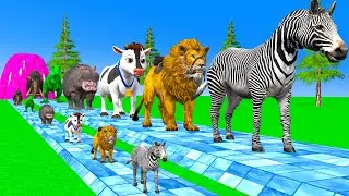 Paint & Animals Cow,Zebra,Lion,Dinosaur,Mammoth Fountain Crossing Transformation Animal Cartoon