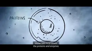 Science Will Win: Gene Therapy