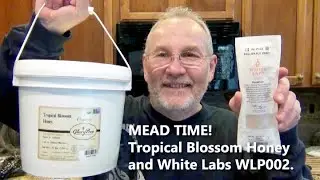 HBW 245: Making Mead with Tropical Honey, WLP 002 yeast, dried cherries, cranberries and raisins