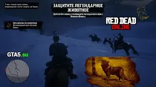 Защитите легендарное животное волка Ночного Оникса событие Red Dead Online Натуралист The Naturalist