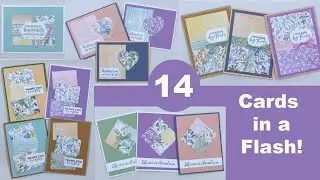 Pick Six One Sheet Wonder| Make 14 Beautiful Cards in Minutes!