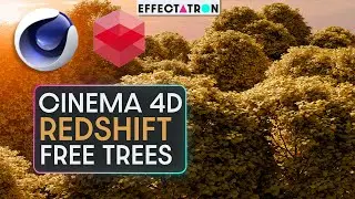 C4D Tutorial - Now with Redshift Drag and Drop Trees! New Free Assets! Make a Forest EZ Clap