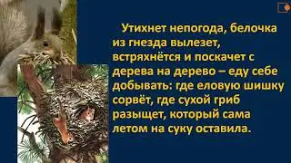 Чтение 1 класс. Как белочка зимует.
