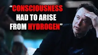 Elon Musk - Consciousness