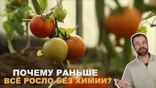Так удобряют деревенские огороды.