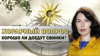 Хорошо ли доедут свинки? // Наталия Гришина // Школа Хорарной Астрологии Юлии Береговой