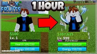 How fast can i level up in 1 Hour? (Blox Fruits Noob to Pro)