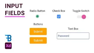 Input Fields Design & Prototype | Adobe Xd | Blue Fin Design
