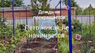 Дождь не прекращается // Лето никак не начинается