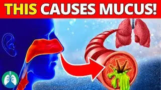 Top 10 Diseases That Cause Mucus | MUST Avoid for Respiratory Health