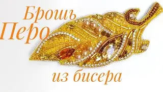 🪶 БРОШЬ 
