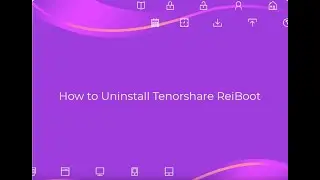 How to uninstall Tenorshare ReiBoot from Windows completely