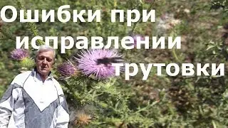 Ошибки при исправлении трутовочной семьи осенью.