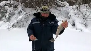 ХАРИУС  НА ТАЁЖНОЙ РЕЧКЕ \ Часть 1 \ Заезд \ ЕСТЬ НАЧАЛО